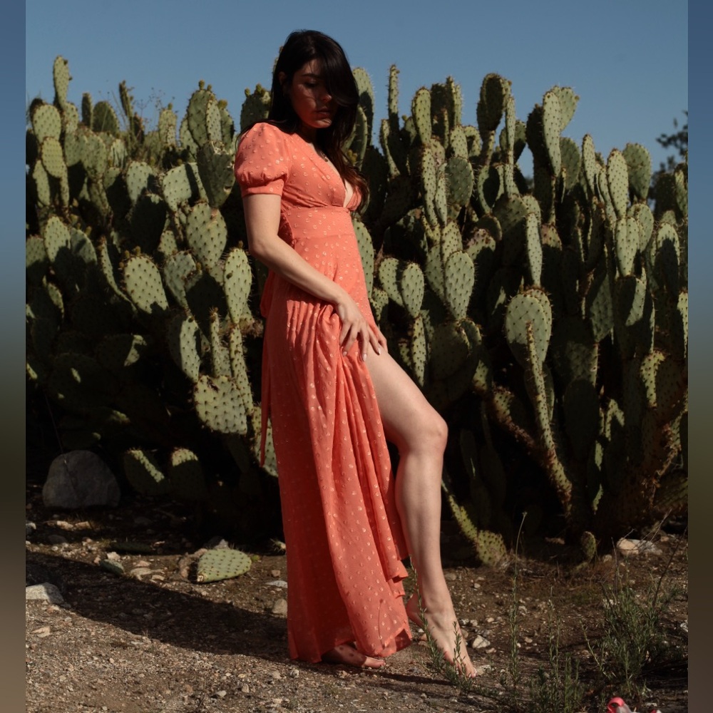 Free people maxi dress